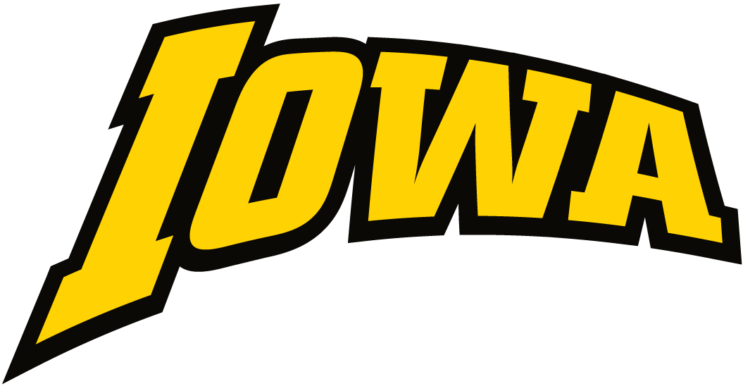 Iowa Hawkeyes 2002-Pres Wordmark Logo fabric transfers v2